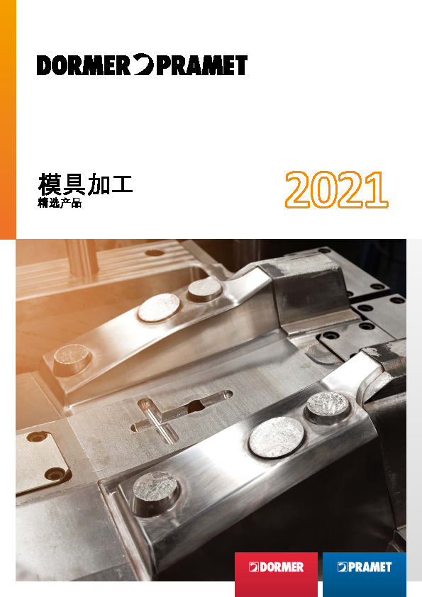 DP 模具加工2021