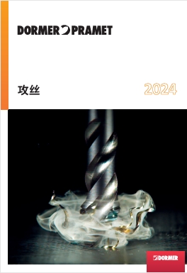DP 絲攻 2024